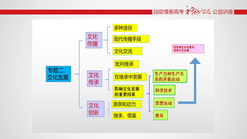 十、产品组合策略