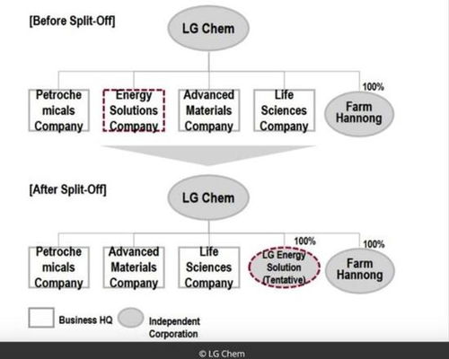 律法体系与知识产权保护
