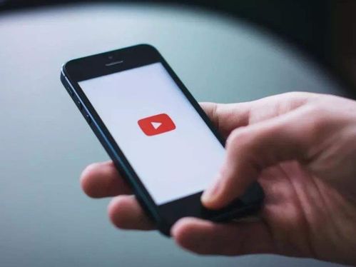 视频号内容发布的公开性与互动性