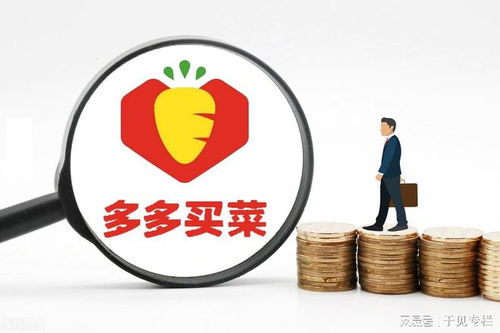 1. 用户数据的保护与隐私政策