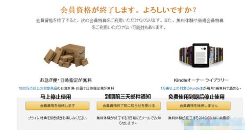 自动调整预算竞价广告位置