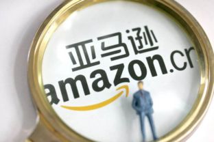 2. 托盘使用规范