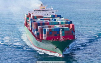 二、 DDP与DDU条款的区别