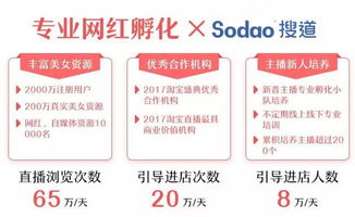 3. 平台支持与推广