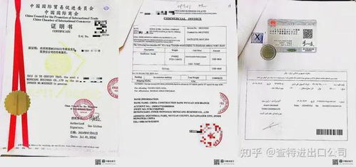 2. 大使馆与领事馆