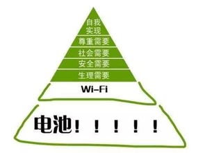 权衡与选择：兼顾风险与收益