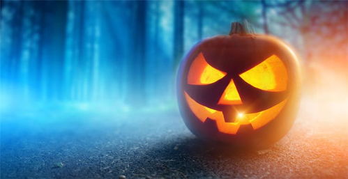 应季产品：万圣节南瓜灯与圣诞倒数日历的家居装饰双重身份