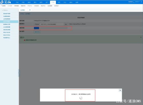 高效使用OZON后台：全方位操作指南