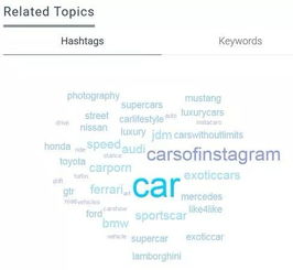 一、 Instagram网红营销的优势与机遇