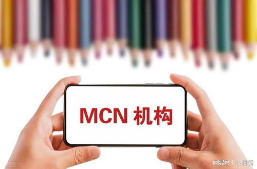 一、 注册前的准备工作