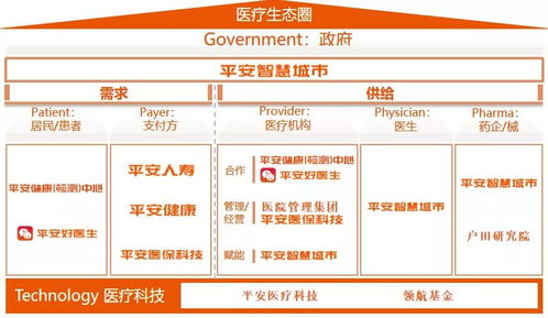 三、 中东地区电商蓝海市场，广阔的发展前景