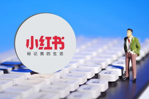 四、变现方式的多样性