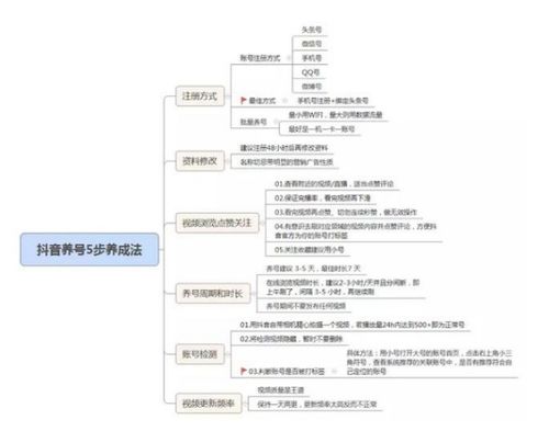 养号思维：自媒体运营的核心
