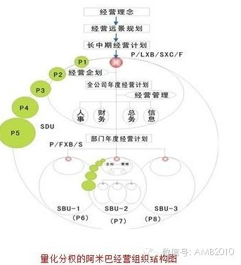 一、 平台定位与市场策略