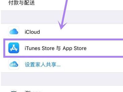 3. 选择自动付款方式