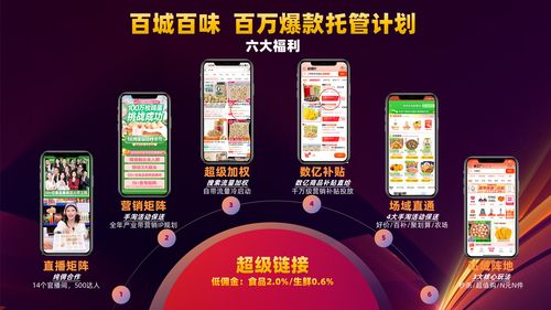 一、淘工厂超链概述