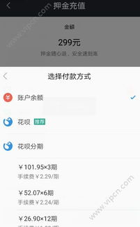 2. 花呗支付风险