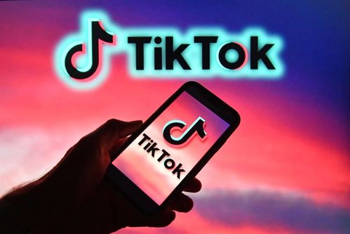一、 TikTok新加坡站跨境收款概述