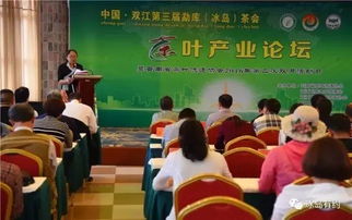 注册资本的多与少：优劣权衡