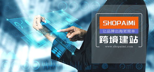 引流与用户体验：独立站运营的关键环节