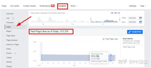 1. 公開首頁獲讚數的意義