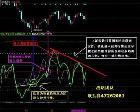 三、 关键指标分析