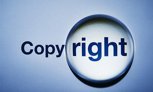 商标注册的重要性及其在亚马逊平台上的作用