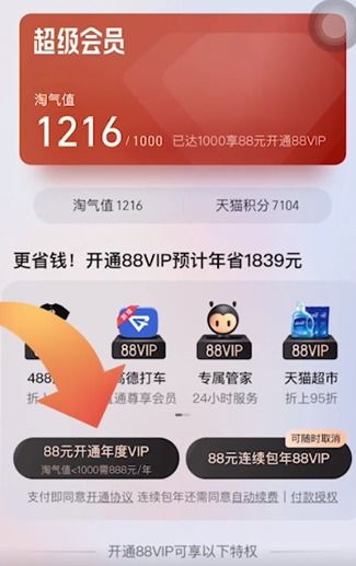 一、 消费券概述