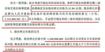 一、 天猫补单的风险与挑战