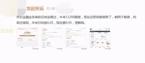 2. 与京东客服沟通赔偿问题