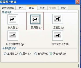视频内容与格式要求