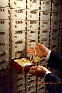 二、公司类型与注册费用