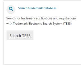 商标查询的关键要素