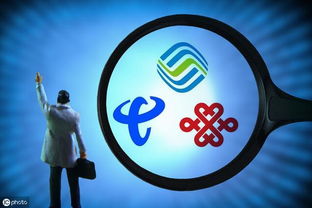 4. 专业市场供应链