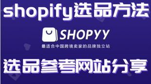 一、 独立站店铺的独特魅力