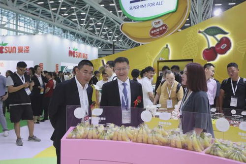 快手电商果蔬行业2024年第一季度成绩斐然