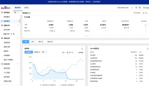 独立站运营的重要性与数据分析的多维度性