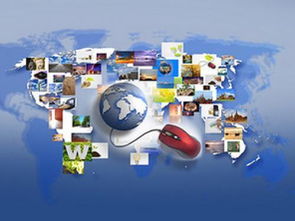 5. 拓展国际市场