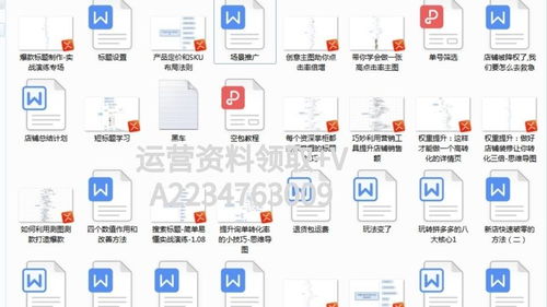 二、 自定义推广：精细化操作与可控性