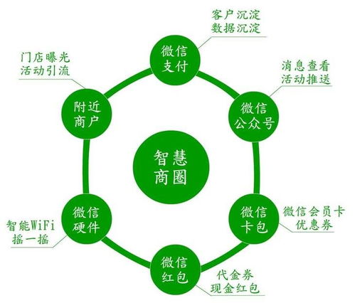 七、 持续优化，根据市场变化和用户需求调整运营策略