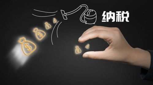 偷逃税手段：个人独资企业税率低， 成为偷逃税手段