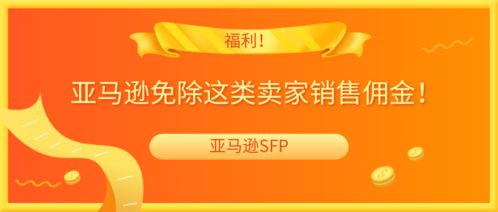 亚马逊新人优惠券概述