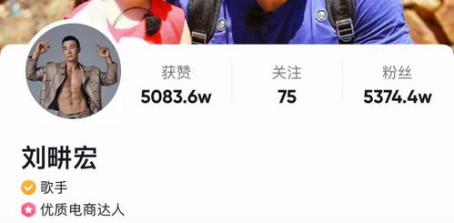 刘畊宏的低调涨粉与爆发