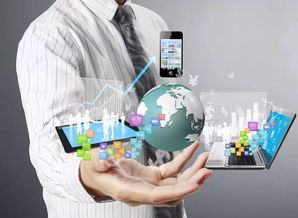 案例分析：华南城网五金机电商城