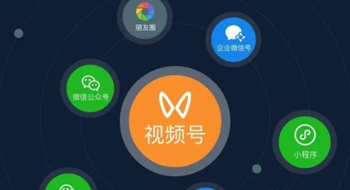 微信视频号运营策略