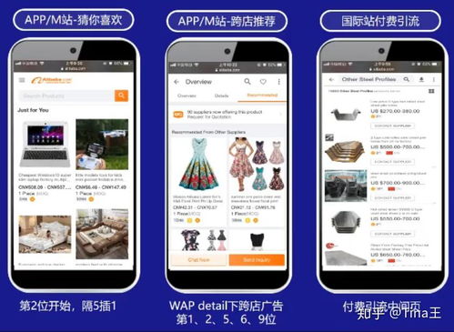 一、 智嫩营销计划概述