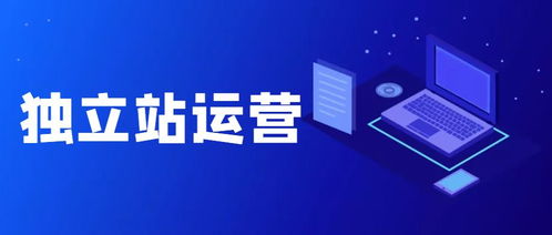 二、 跨境电商独立站选品技巧