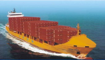 四、 海运卡派+PVA模式的操作要点