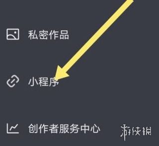 一、 抖音游戏发行人计划的概述