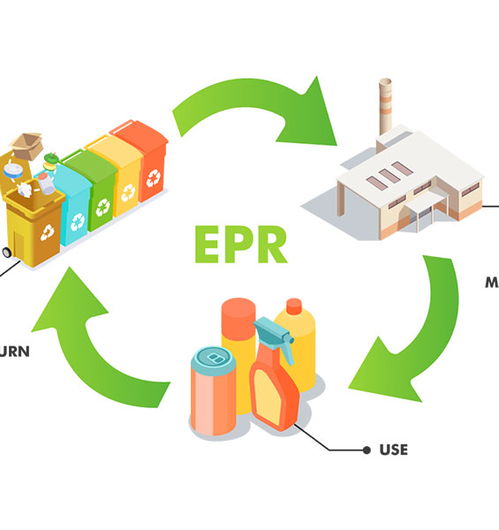 跟卖现象的复杂性及其影响